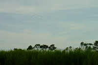 Modified V Formation