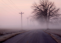 Williams County Fog